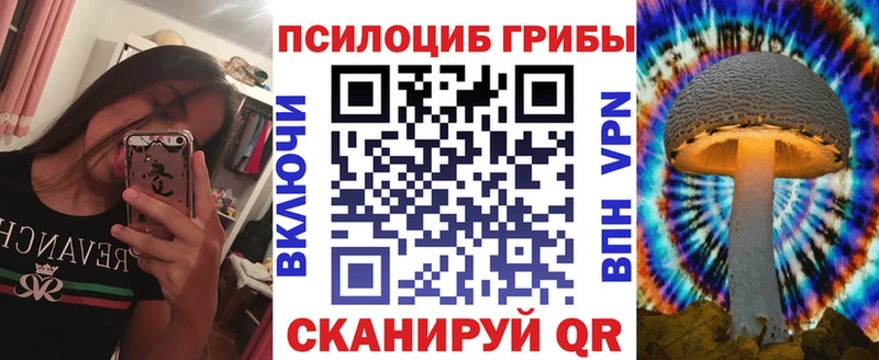 Купить  Малая Вишера  Галлюциногенные грибы Psilocybe 